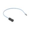 Cable de Conexión en Campo Jack a Plug RJ45, Categoría 6A, CMP (Plenum), 0.5 Metros, Color Azul 6 FCICCP0.5MBU p