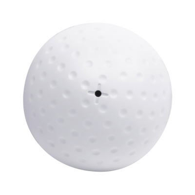 MIC302-p.png MIC302 p