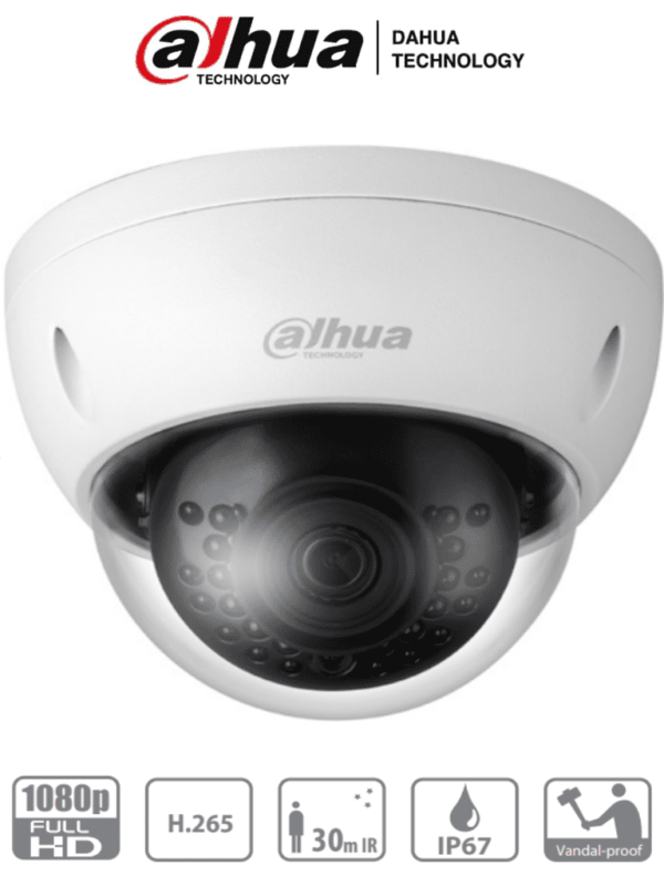 Camara Domo IP Antivandalica de 2