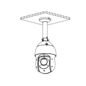 Ceiling Mount Carrusel