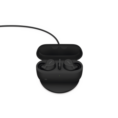 EVOLVE2BUDSAMS-p.png EVOLVE2BUDSAMS p