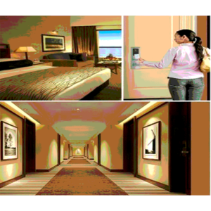 Modulo Inteligente Ahorro Energia Habitaciones Hotel Tarjeta Mifare ZAS069002 ZKT TVC Secundario 4