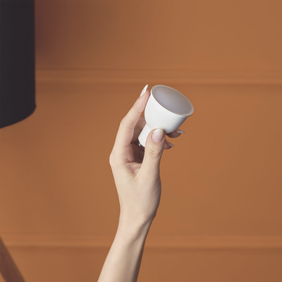 SHELLYDUOGU10RGBW-AD-1-p.png SHELLYDUOGU10RGBW AD 1 p