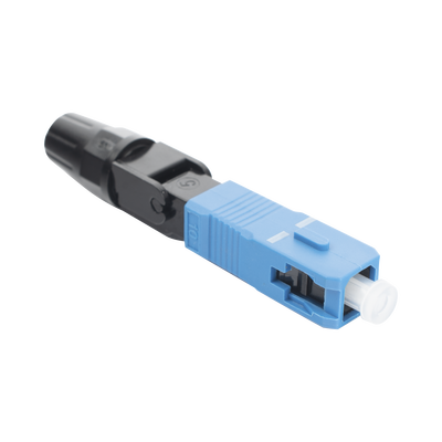 LPSMSCUPC-p.png LPSMSCUPC p