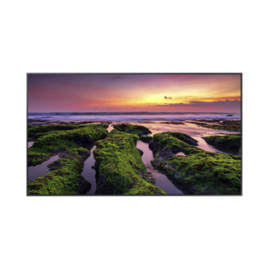 Pantalla Profesional LED de 65", UHD 4K (3840x2160p) / Entradas de Video HDM / Bocinas Integradas de 10 W. Compatible VESA / compatible con MagicInfo