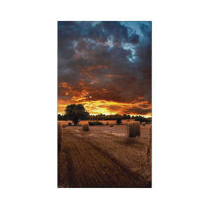 Pantalla Profesional LED de 46" para Video Wall, Full HD (1080p), HDMI/DVI-D, Bisel Ultra Delgado de 2.25mm. Compatible VESA 5 VM46BU AD 3 p