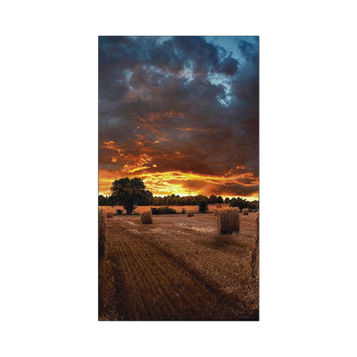 VM46BU-AD-3-p.png VM46BU AD 3 p