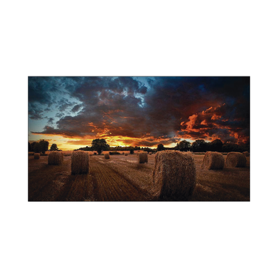 VM55BU-p.png VM55BU p